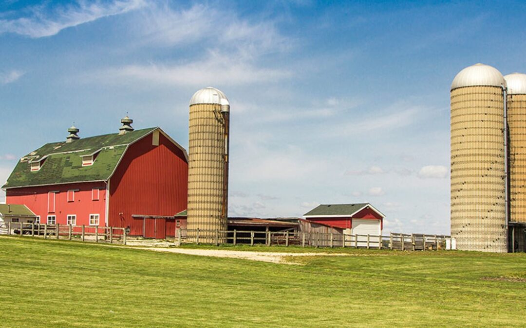 Canned Food News: Green Beans – The Perfect Summer Crop